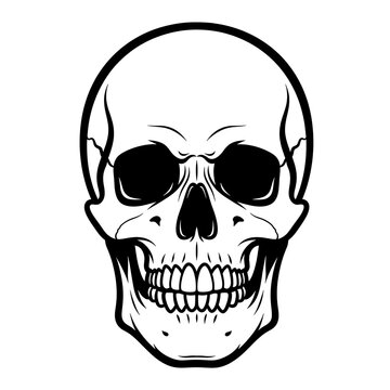 Black and white skull with sharp teeth illustration.
