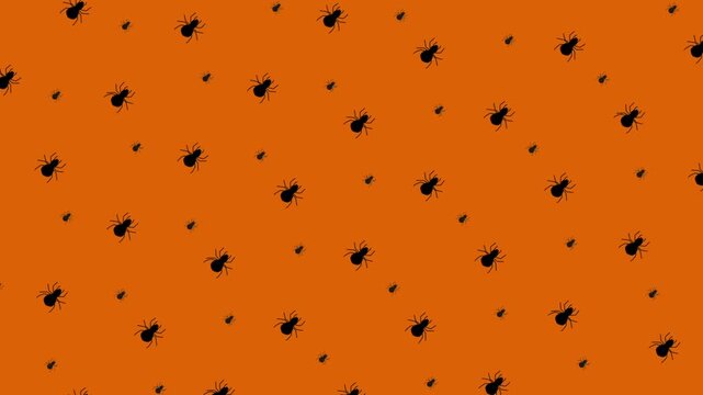 Halloween Orange Background with Spiders Pattern Animation