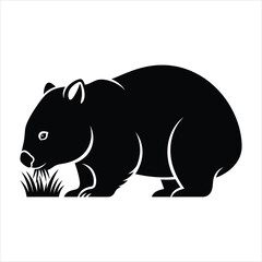 Fototapeta premium Black silhouette vector illustration of a wombat grazing on grass