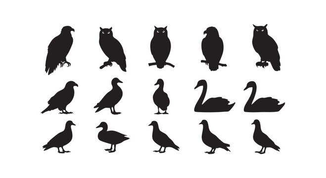 Collection of bird silhouettes including owls eagles ducks swans and pigeons perched and swimming for natural decoration.