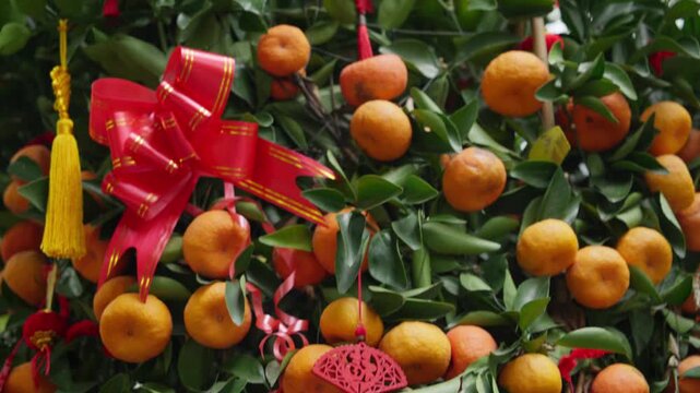 Chinese new year mandarin orange tree decoration