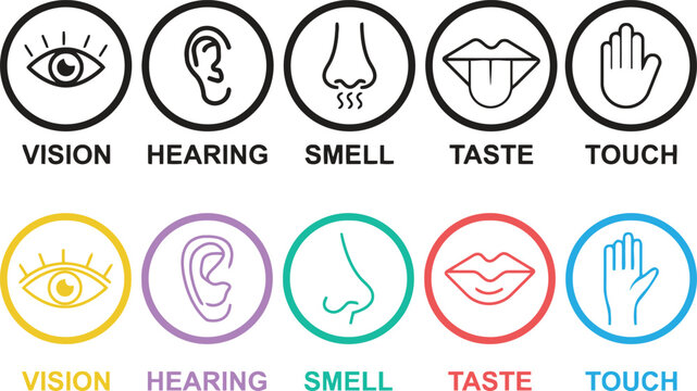 Five senses icons set vision hearing smell taste and touch illustrations