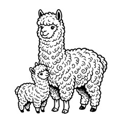 Obraz premium A charming illustration depicts a mother llama and her baby llama, both with fluffy, curly fleece, standing together in a simple, artistic style. vector illustration
