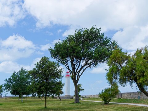 Saint-Martin-de-R&eacute;, a former fortified town in the north of &Icirc;le de R&eacute; in Charente-Maritime, facing the Atlantic Ocean. The verdant Babette Park offers a view of the Red Lighthouse
