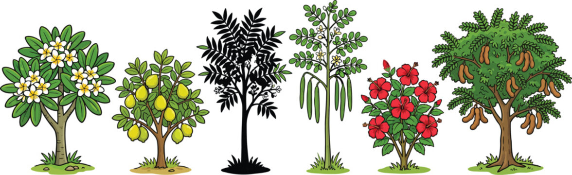 Cartoon Tropical Tree Collection Frangipani, Hibiscus, Guava, Neem, Moringa, and Tamarind Vector Set