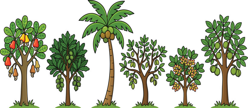 Cartoon Flat Design Collection of Six Nut Trees Cashew, Macadamia, Coconut, Almond, Pistachio, Walnut, Bold Outline Vector Icons on transparent Background