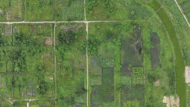 Green view from tha sky. 