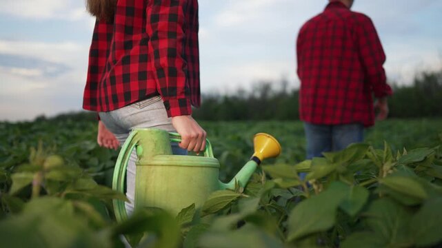 Farmer walking in soybean and hoe field. Farmer carries sprinkler, working in soybean plantation. Agricultural tools like sprinkler hoe used in field. Cultivation and irrigation of soybeans by farmer