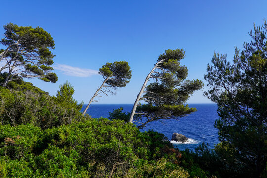 Ausblick am Plage du mont salva - Meerblick - Pinienwald - Fels dder Br