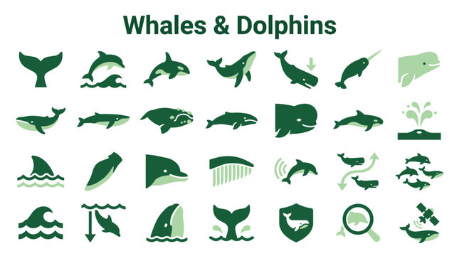 Collection of Whale and Dolphin Icons and Illustrations Representing Marine Life and Oceanography