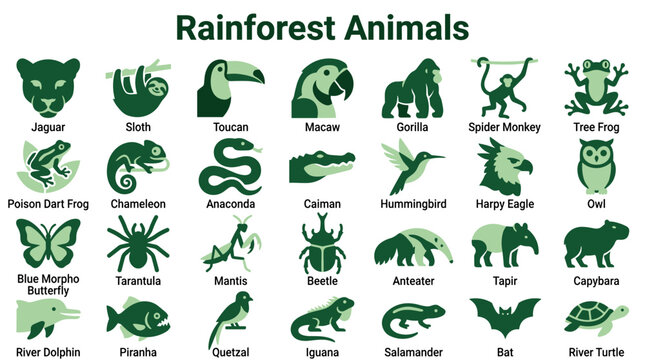 Diverse Rainforest Animals Collection Illustration Showing Jaguar Sloth Toucan Macaw Gorilla Spider Monkey Tree Frog Poison Dart
