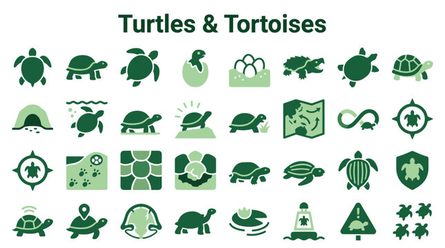 Collection of turtle and tortoise icons and illustrations representing various aspects of their life cycle habitats and conservation efforts
