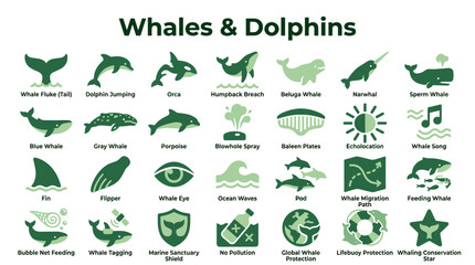 Whales and Dolphins Icons Set Marine Life Cetacean Species Underwater World Ocean Creatures Biodiversity Conservation Symbols © Iconique Studio