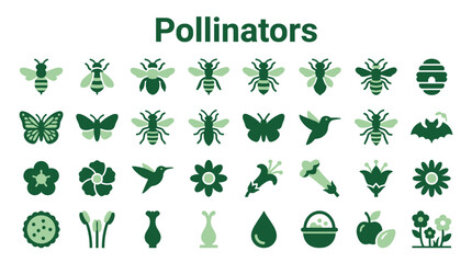 Diverse pollinators including bees butterflies hummingbirds and bats alongside flowers and fruits symbolizing nature's essential ecological role © Iconique Studio