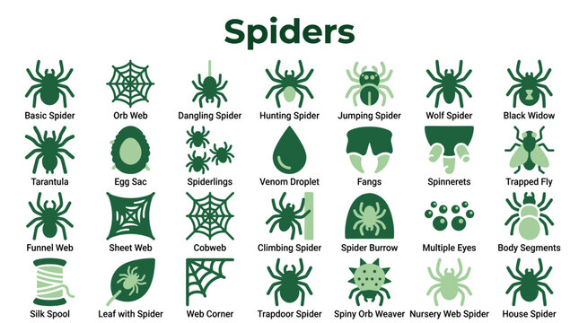 Collection of Spider Icons and Symbols Illustrating Different Types of Spiders Webs and Related Concepts in Green Tones