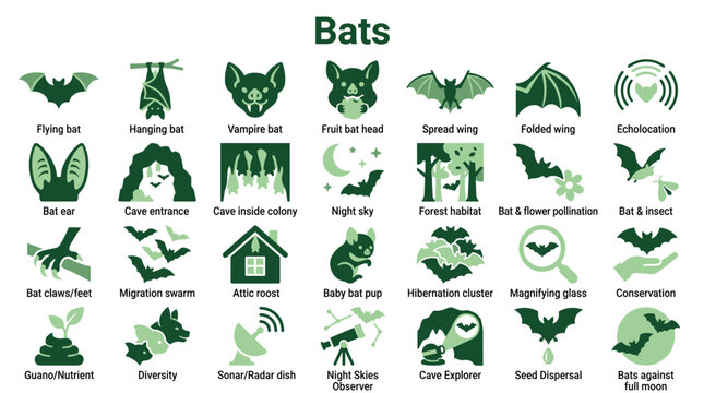 Collection of bat icons and illustrations representing different aspects of bat life, habitats, and conservation efforts with a green color palette