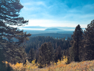 High angle view looking down over a pine forest towards Jackson Hole valley covered in morning mist and inversion fog. © David