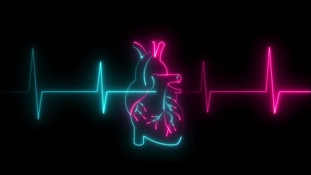 Neon glowing human heart anatomy illustration with a bright blue and pink digital heartbeat pulse line on a dark black background for medical healthcare and cardiology science technology concepts