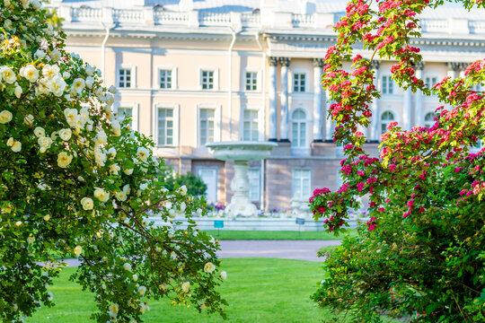 Saint Petersburg, Russia - 11 june 2026: Private garden of Catherine park, Tsarskoe Selo (Pushkin)