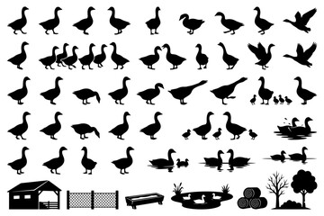 Obraz premium Silhouettes of geese in various poses with barnyard elements.