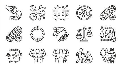 Collection of Medical Science and Biology Icons. © noele