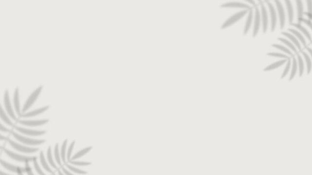 Tropical palm leaf shadow corner frame on white background with copy space