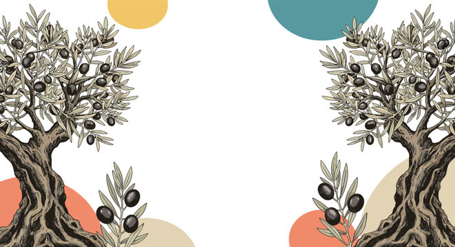 Artistic composition showing two detailed olive trees with ripe fruit framed by abstract colored circles on a minimalist white background.