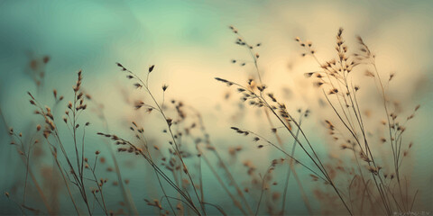 Obraz premium Sunset and sunrise over a grassy meadow with reeds and a lake