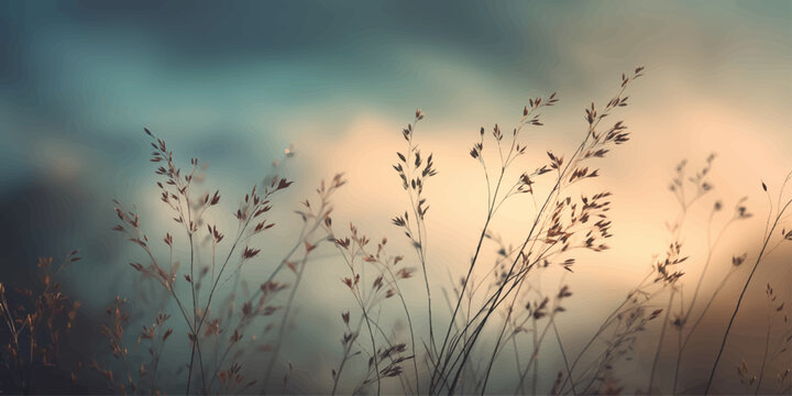 Reeds and grass at sunrise and sunset over a calm lake landscape with warm light, clouds, and natural fields in summer and dawn glow
