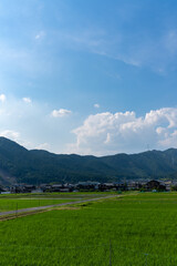 のどかな農村と青空を写した田園背景素材 © hiro