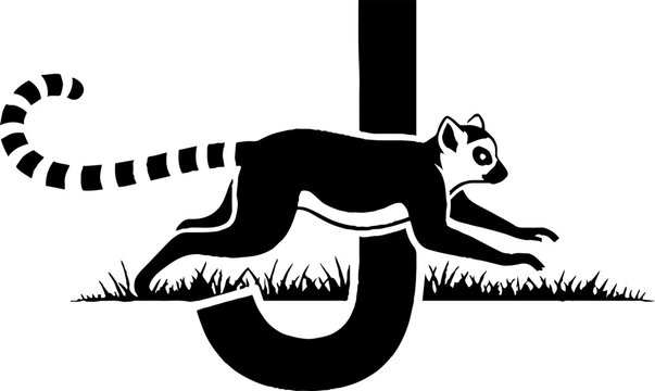 Ring tailed lemur climbing on black tire.