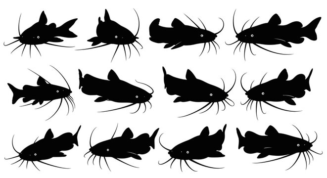 A collection of various fish silhouettes swimming in different directions on a white background image-431.ai