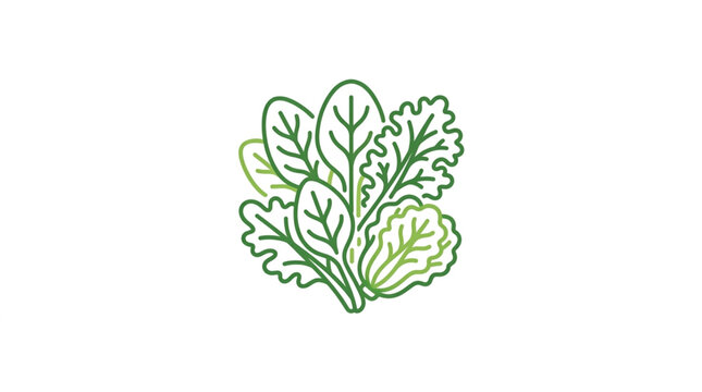 Fresh Green Leafy Vegetable Salad Ingredients Illustration.