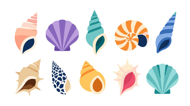 Collection of Various Seashells with Vibrant Colors.