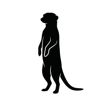 Minimalist silhouette of a meerkat on guard with suricate wildlife silhouette
