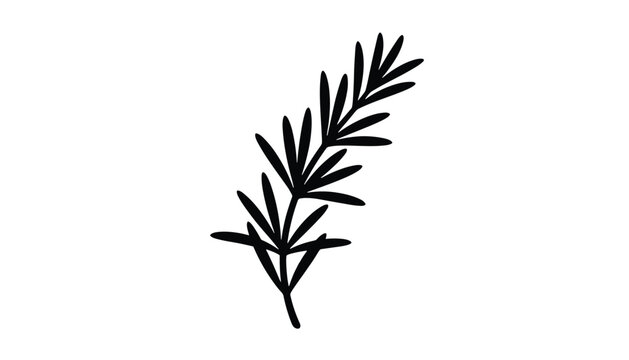 Minimalist black ink drawing of a fresh rosemary sprig or aromatic herb branch over a clean white background.