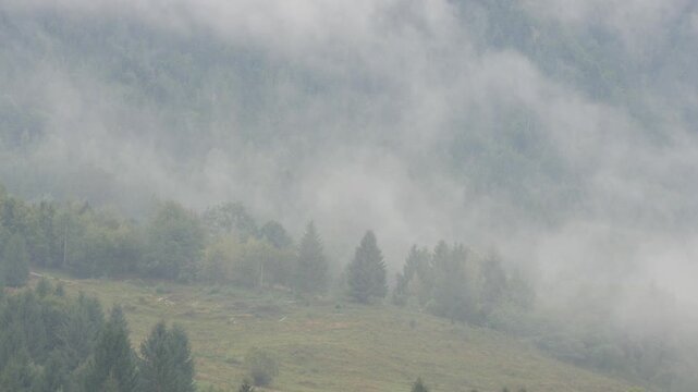 Mountain Landscape with White Fog Over the Forest in a Morning Day. Cold Steam Over the Trees in Alpine Nature.