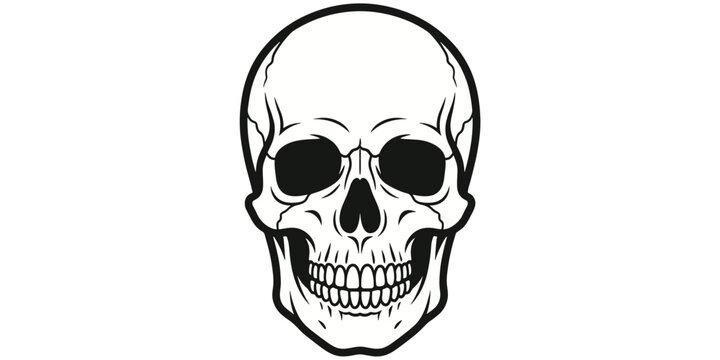Black and white human skull front view showing detailed bone structure and anatomy concept artwork design for medical study illustration, flat vector illustration