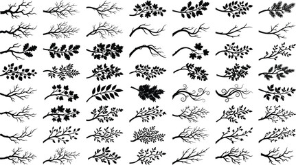 Fototapeta premium Collection of various black silhouettes of tree branches and leaves
