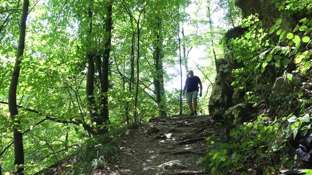 Man Hiking on Forest Trail Surrounded by Green Trees