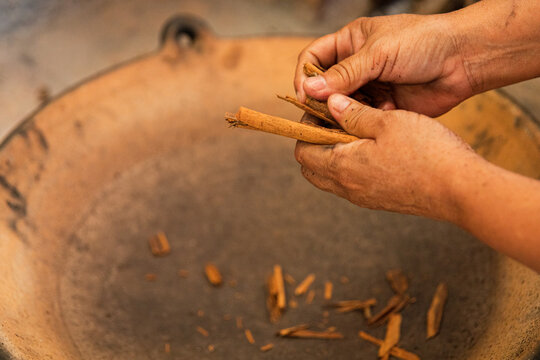 Hands peeling cinnamon bark