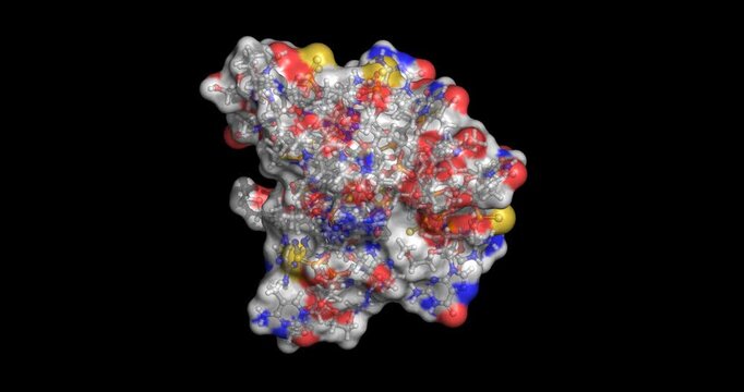Donidalorsen, antisense oligonucleotide agent for angioedema, 3D molecule spinning 4K