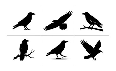 Fototapeta premium Six Black Bird Silhouettes, Raven and Eagle Vector Icons, Avian Wildlife Collection for Graphic Design