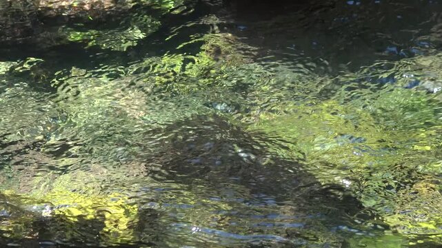 Clear Mountain Stream Water Ripples Sunlight Reflection. Closeup Flowing Mountain Stream Over Mossy Rocks.