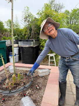 gardening in yard proud of his irrigation system and bamboo growing
