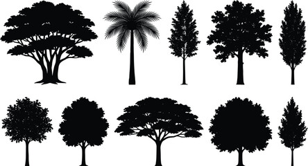 Fototapeta premium Tree silhouettes set with various realistic garden forest and tropical palm trees isolated on white background vector illustration