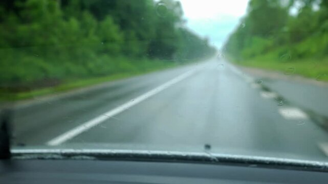 Windshield Wipers Clearing Rain During Drive on Forest Highway