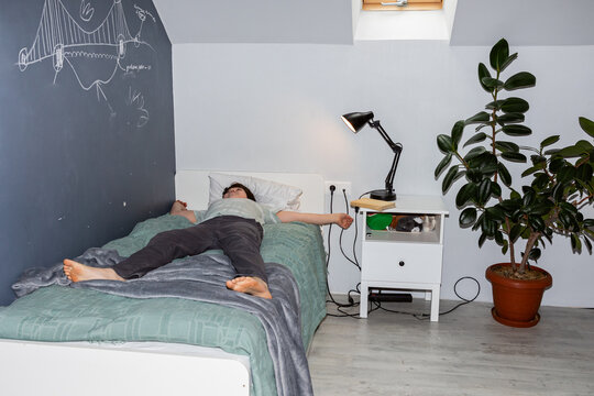 A boy lies on a bed in his room with a plant.