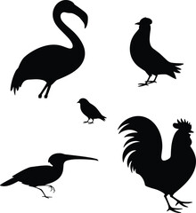 Obraz premium Set of black bird silhouettes featuring flamingo rooster pigeon and various avian species isolated on a plain white background
