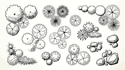 Obraz premium Set of hand drawn landscape design elements, top view of trees, shrubs and rocks isolated on white background